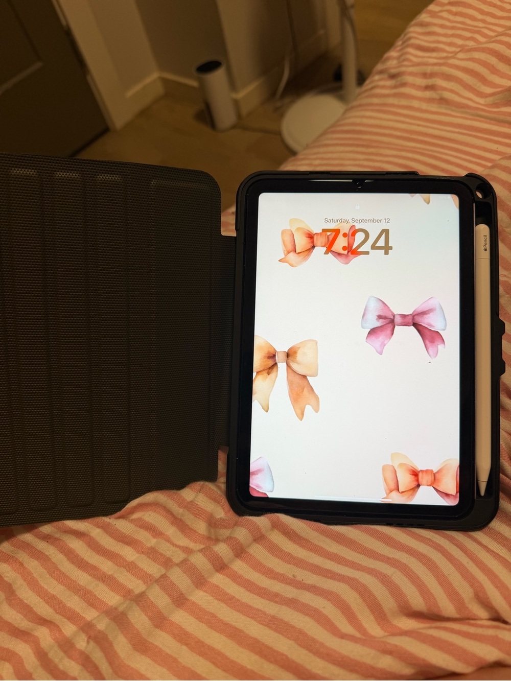 Apple iPad A17 Pro with Black Folio Case and White Apple Pencil USB-C